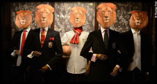The Lions Collection